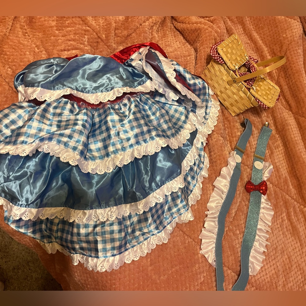 Adult wizard of oz costume